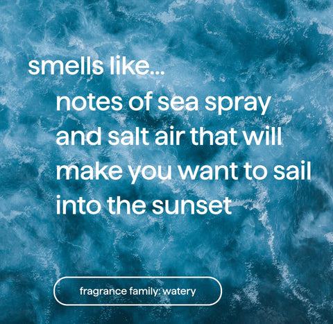 dream foam | foaming body wash - sea spray + salt air, 13.5 fl oz